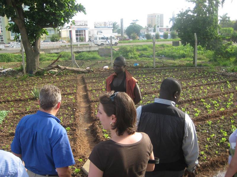 Visiting an Urban Farm with Alliance for a Green Revolution in Africa (AGRA), in Accra. Photo by San