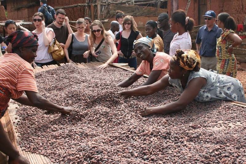 Cocoa beans at Kuapa Kokoo Cocoa farm outside of Kumasi Photo by Sandra Vu
