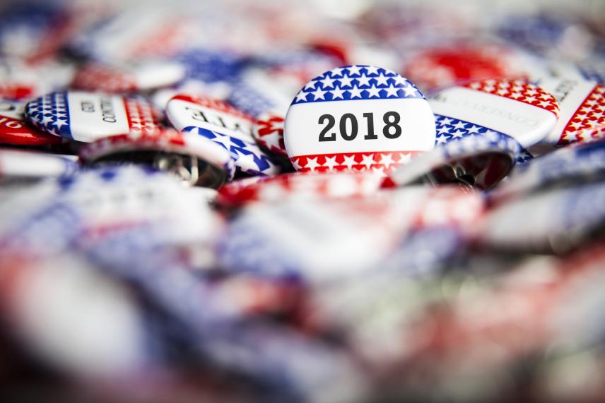 2018 midterm election pins