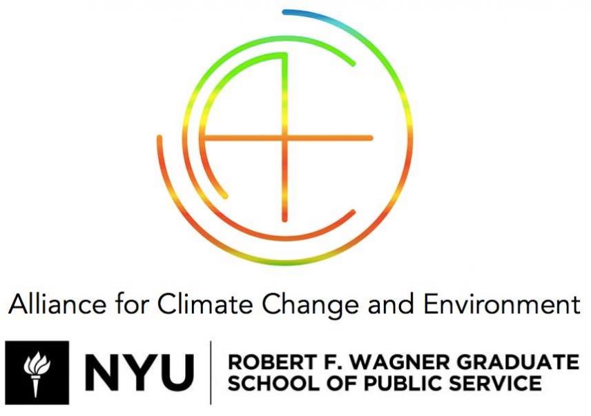 Join ACE at Climate Strike NYC!