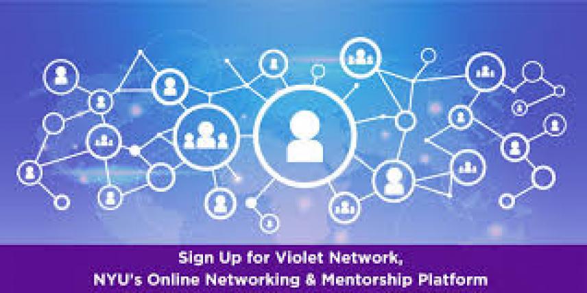 Building Your Violet Network